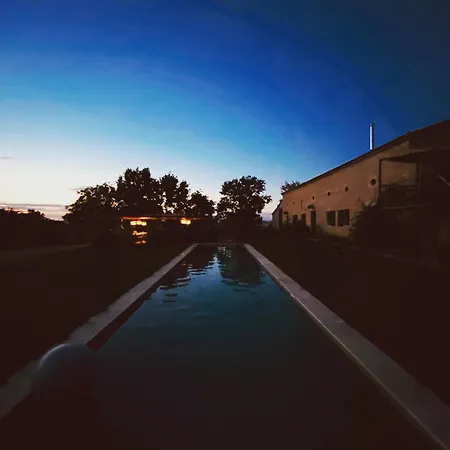 Maison Droles D'oiseaux *