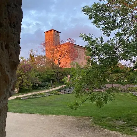 Maison Droles D'oiseaux