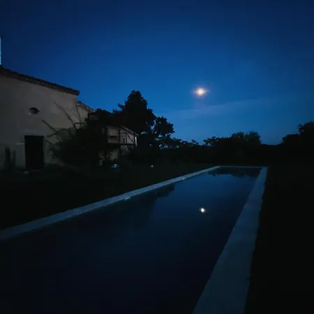 Maison Droles D'oiseaux *