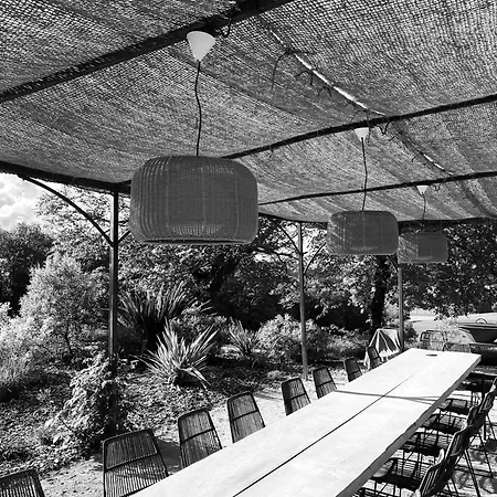 Maison Droles D'oiseaux