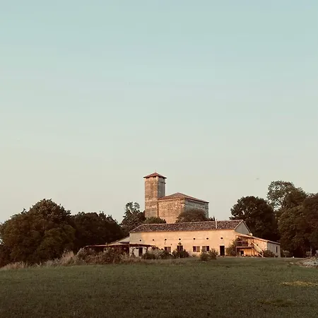 Maison Droles D'oiseaux * Plieux