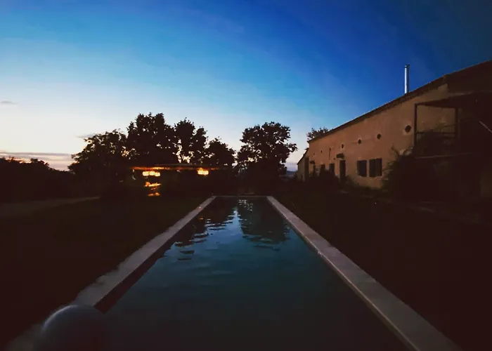 Maison Droles D'oiseaux *