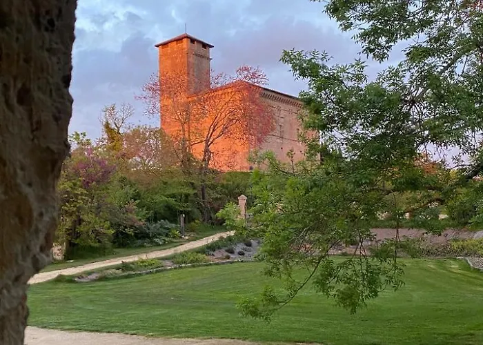 Maison Droles D'oiseaux