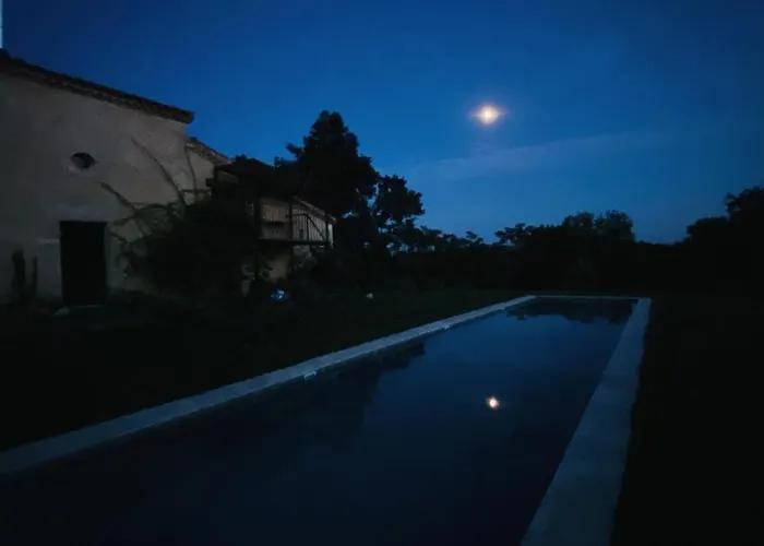 Maison Droles D'oiseaux *