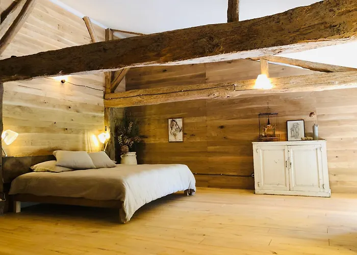 Maison Droles D'oiseaux 度假居 *