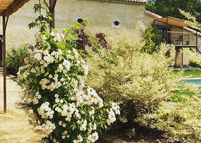 度假居 Maison Droles D'oiseaux *