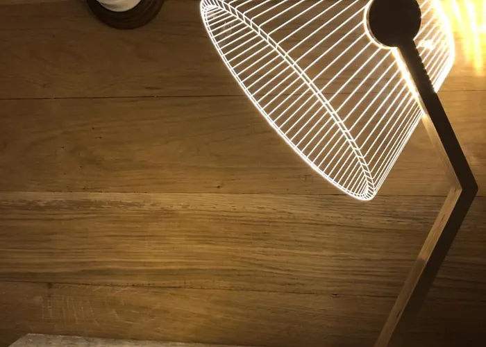 Maison Droles D'oiseaux *