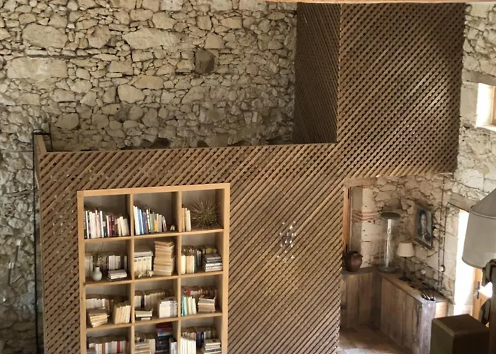 Maison Droles D'oiseaux