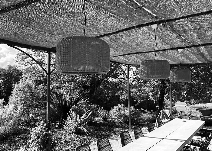 Maison Droles D'oiseaux